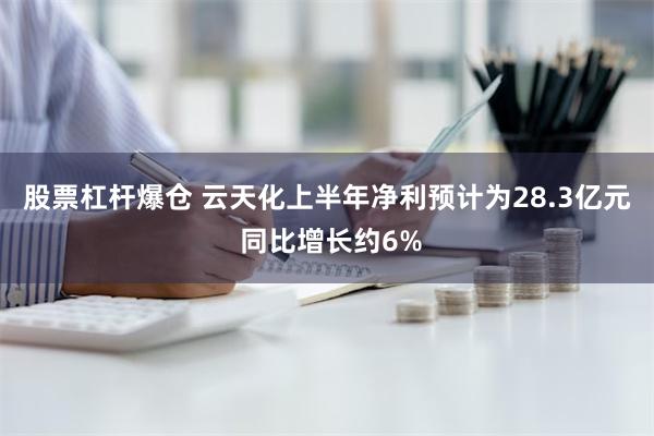 股票杠杆爆仓 云天化上半年净利预计为28.3亿元 同比增长约6%