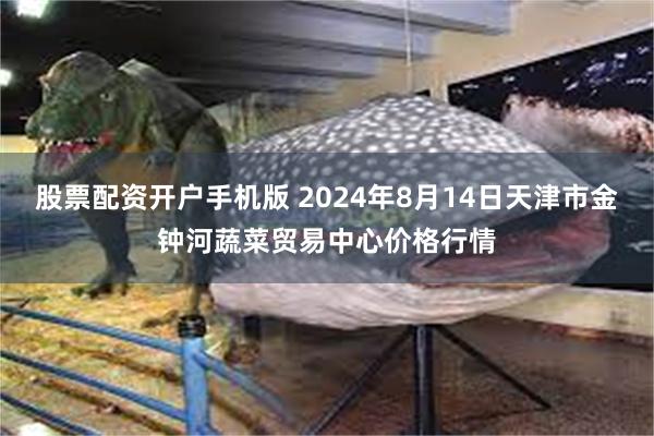 股票配资开户手机版 2024年8月14日天津市金钟河蔬菜贸易中心价格行情