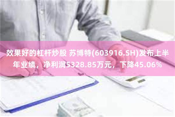 效果好的杠杆炒股 苏博特(603916.SH)发布上半年业绩，净利润5328.85万元，下降45.06%