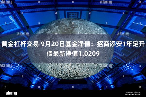 黄金杠杆交易 9月20日基金净值：招商添安1年定开债最新净值1.0209