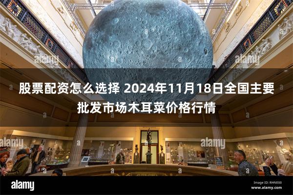 股票配资怎么选择 2024年11月18日全国主要批发市场木耳菜价格行情