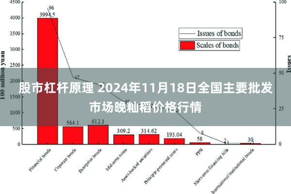 股市杠杆原理 2024年11月18日全国主要批发市场晚籼稻价格行情