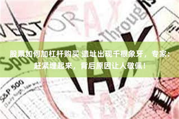 股票如何加杠杆购买 遗址出现千根象牙，专家：赶紧埋起来，背后原因让人敬佩！