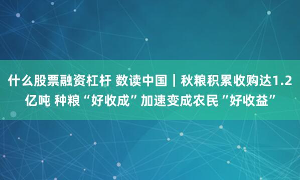 什么股票融资杠杆 数读中国｜秋粮积累收购达1.2亿吨 种粮“好收成”加速变成农民“好收益”