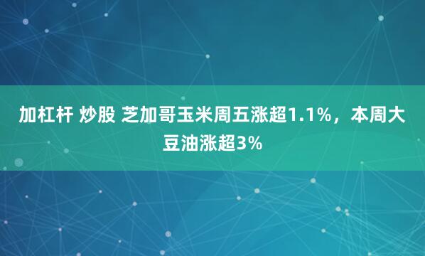 加杠杆 炒股 芝加哥玉米周五涨超1.1%，本周大豆油涨超3%