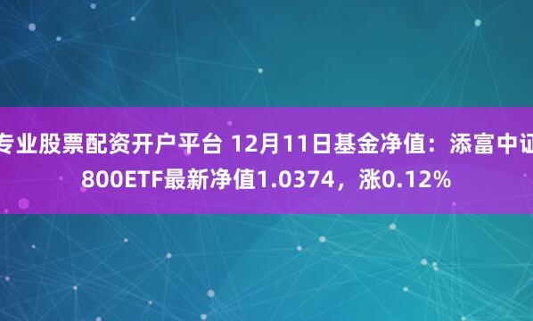 专业股票配资开户平台 12月11日基金净值：添富中证800ETF最新净值1.0374，涨0.12%