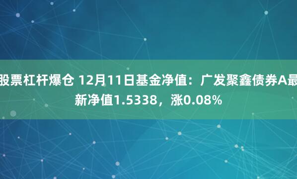 股票杠杆爆仓 12月11日基金净值：广发聚鑫债券A最新净值1.5338，涨0.08%