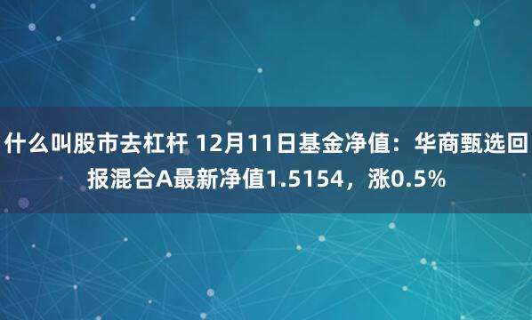 什么叫股市去杠杆 12月11日基金净值：华商甄选回报混合A最新净值1.5154，涨0.5%