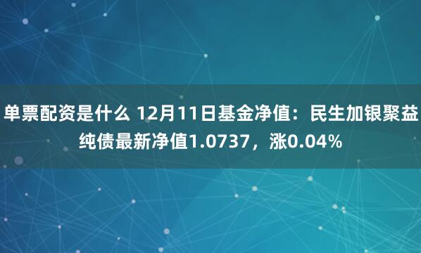 单票配资是什么 12月11日基金净值：民生加银聚益纯债最新净值1.0737，涨0.04%