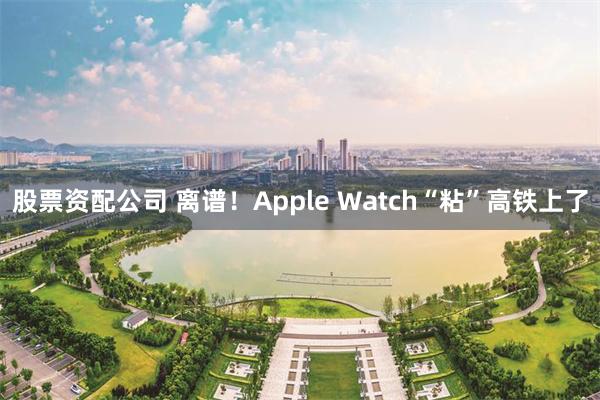 股票资配公司 离谱！Apple Watch“粘”高铁上了