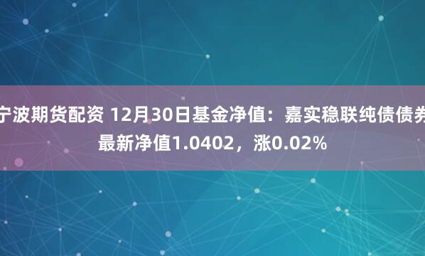 宁波期货配资 12月30日基金净值：嘉实稳联纯债债券最新净值1.0402，涨0.02%