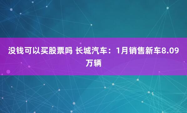 没钱可以买股票吗 长城汽车：1月销售新车8.09万辆