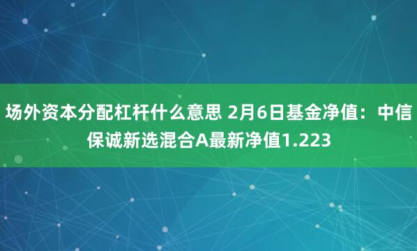 场外资本分配杠杆什么意思 2月6日基金净值：中信保诚新选混合A最新净值1.223