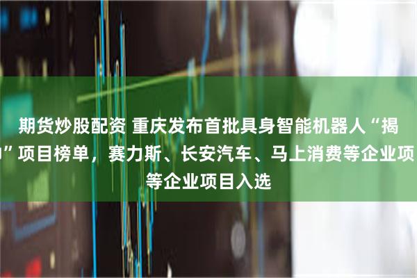 期货炒股配资 重庆发布首批具身智能机器人“揭榜挂帅”项目榜单，赛力斯、长安汽车、马上消费等企业项目入选